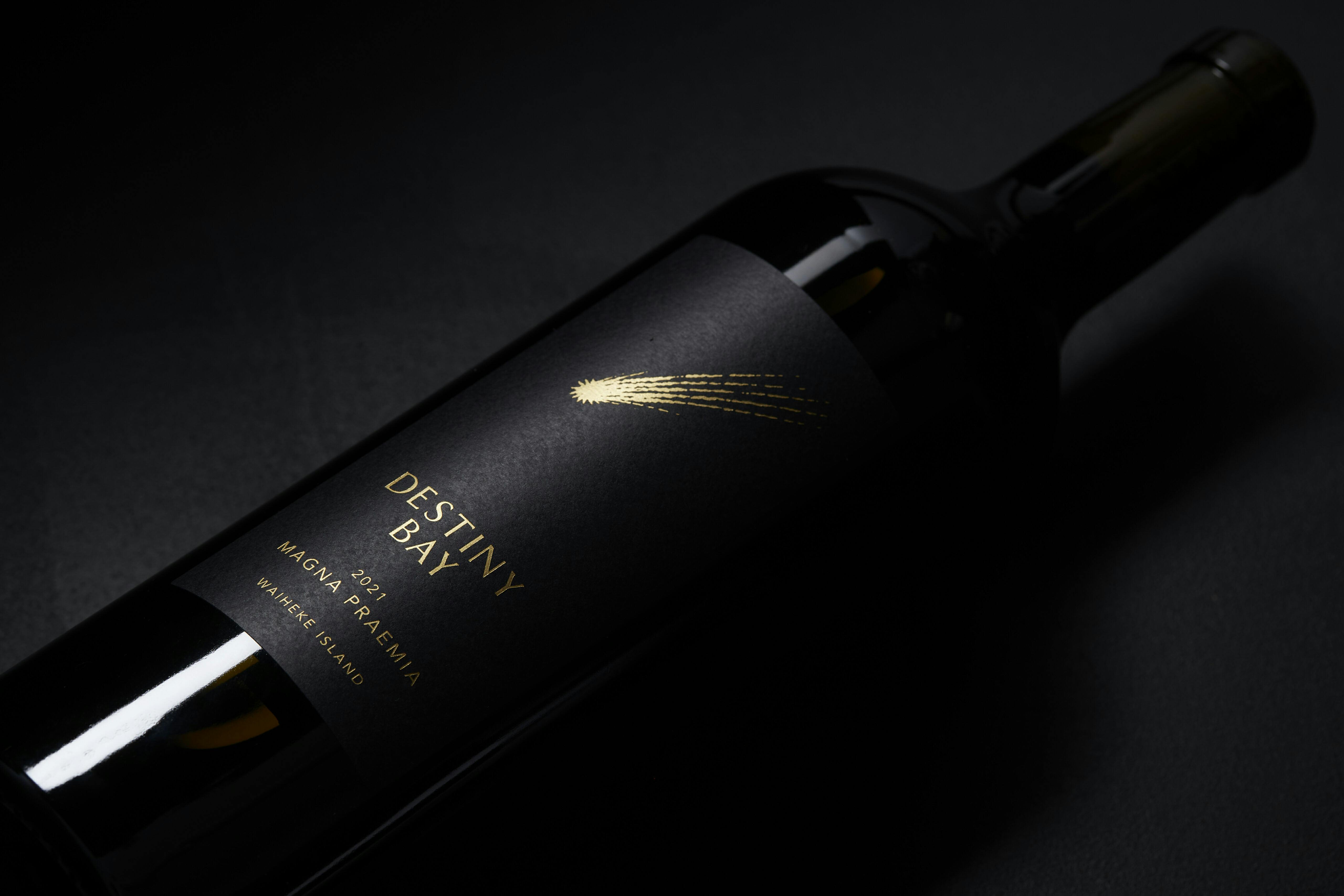 GS D1 SHOT 02 Destiny Bay 0883 LORES